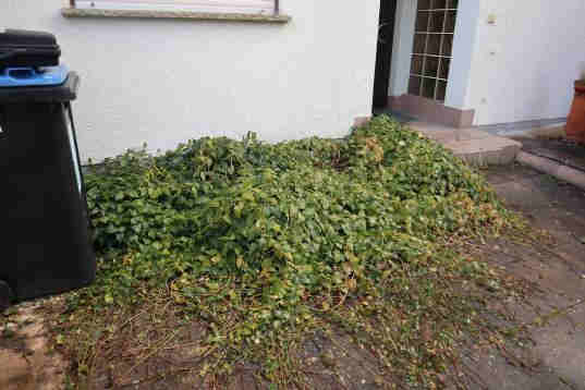 Foto 22 von 35 — Einfamilienhaus
