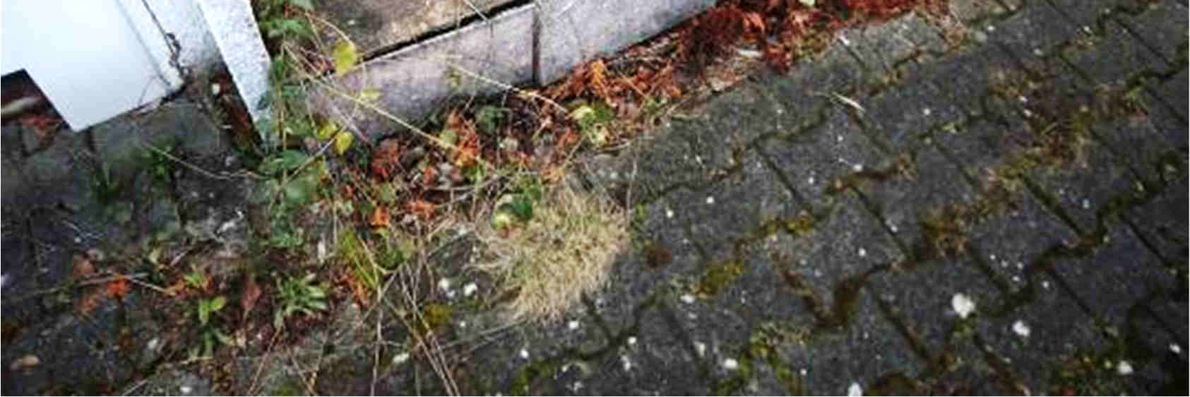 Foto 21 von 35 — Einfamilienhaus