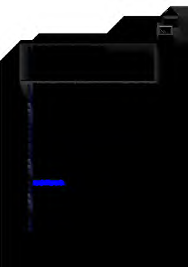 Foto 78 von 78 — Wohn-/Geschäftshaus