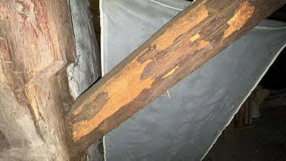 Foto 27 von 38 — Wohn-/Geschäftshaus