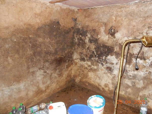 Foto 7 von 24 — Einfamilienhaus, landwirtschaftliche Gebäude