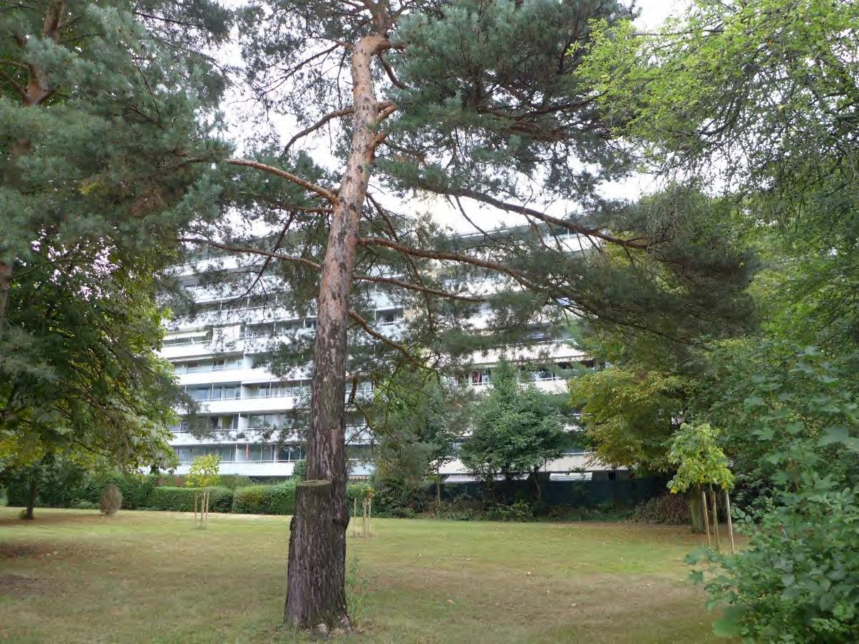 Foto 6 von 34 — Eigentumswohnung (3 bis 4 Zimmer)