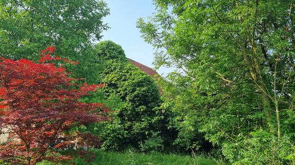 Foto 29 von 36 — Einfamilienhaus