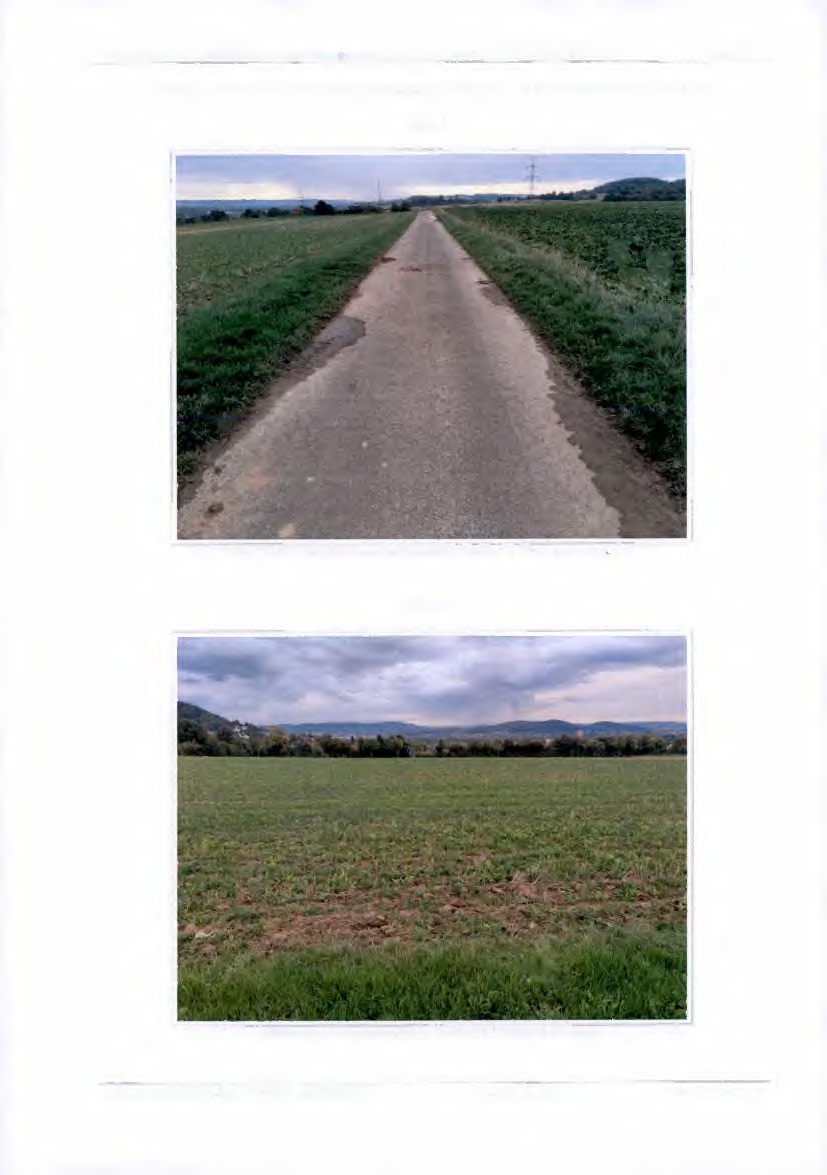 Foto 35 von 38 — land- und forstwirtschaftlich genutztes Grundstück