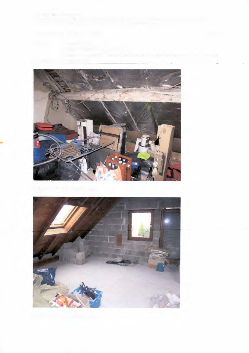 Foto 105 von 122 — Zweifamilienhaus, Garage, Nebengebäude
