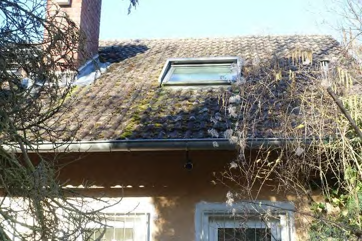 Foto 12 von 15 — Einfamilienhaus, Garage