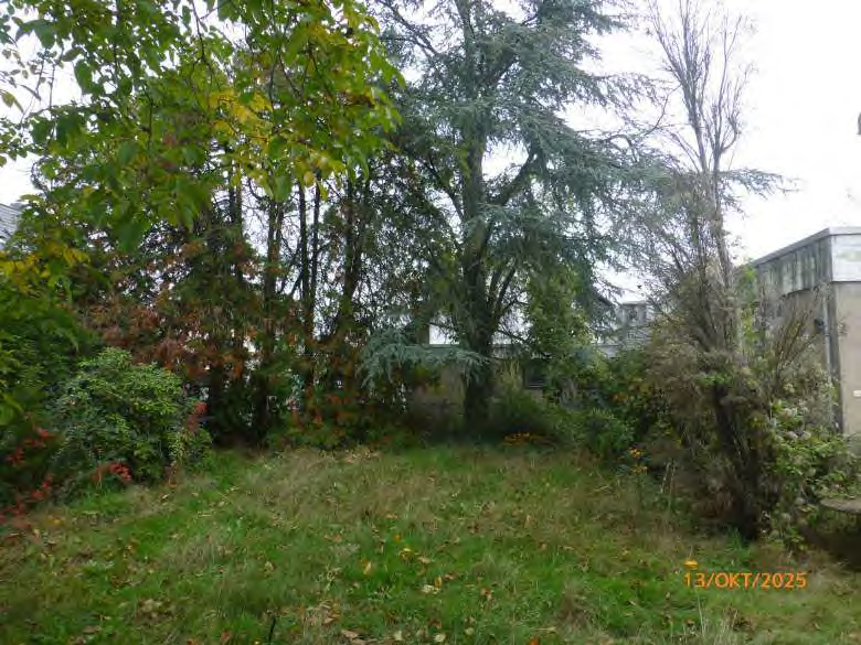 Foto 45 von 61 — Einfamilienhaus