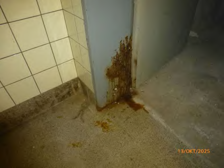 Foto 43 von 61 — Einfamilienhaus