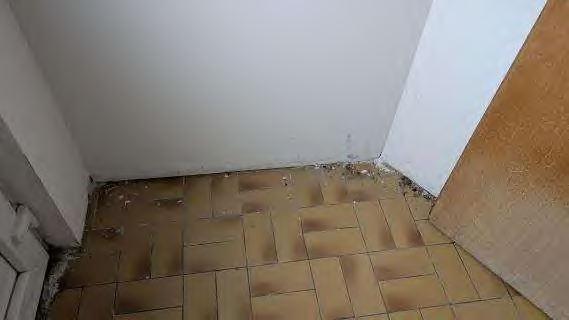 Foto 29 von 34 — Eigentumswohnung (ab 5 Zimmer), Mehrfamilienhaus, Sonstiges