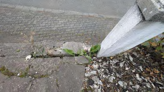 Foto 26 von 34 — Eigentumswohnung (ab 5 Zimmer), Mehrfamilienhaus, Sonstiges