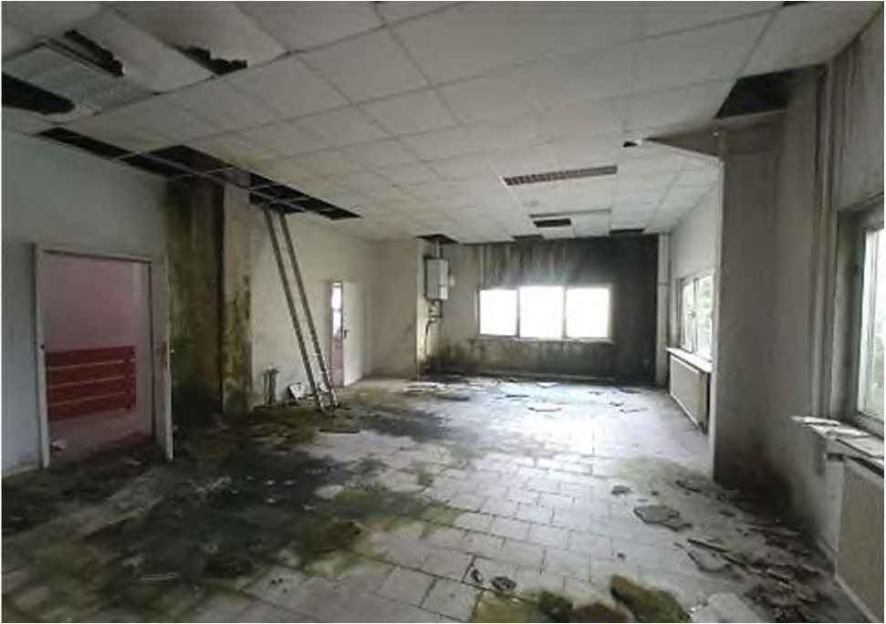 Foto 51 von 58 — gewerblich genutztes Grundstück
