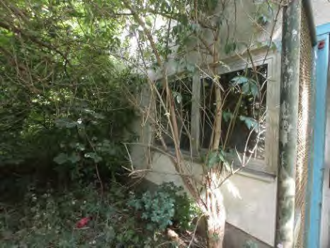 Foto 18 von 58 — gewerblich genutztes Grundstück