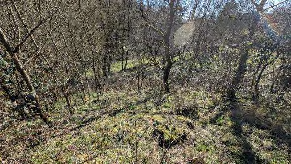 Foto 17 von 36 — Einfamilienhaus