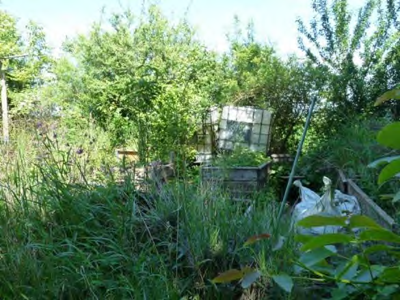 Foto 14 von 17 — land- und forstwirtschaftlich genutztes Grundstück