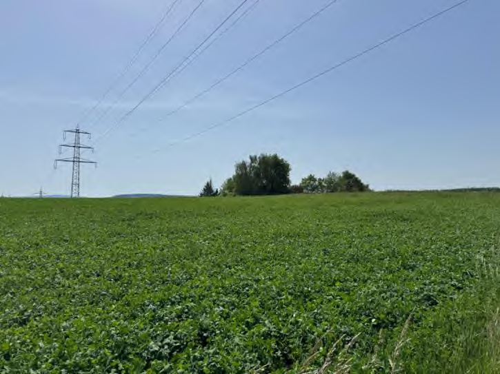 Foto 2 von 17 — land- und forstwirtschaftlich genutztes Grundstück