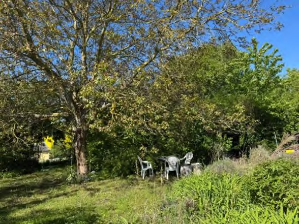 Foto 13 von 17 — land- und forstwirtschaftlich genutztes Grundstück