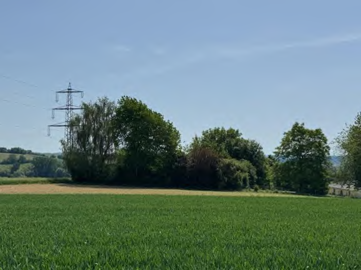 Foto 3 von 17 — land- und forstwirtschaftlich genutztes Grundstück