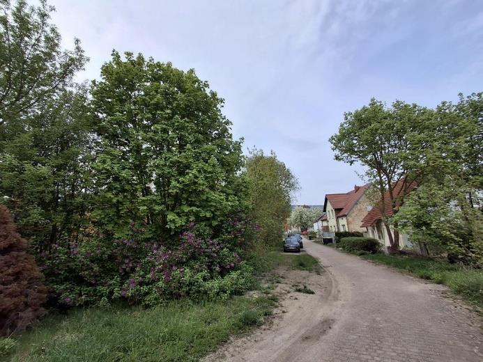 Foto 4 von 6 — unbebautes Grundstück