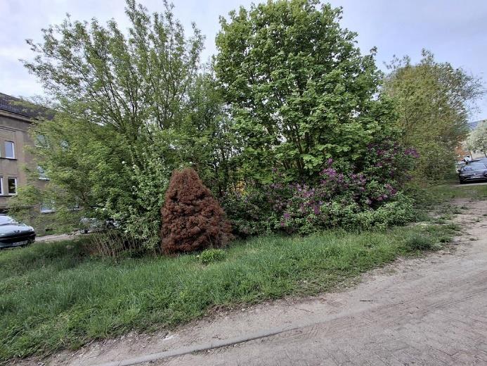 Foto 3 von 6 — unbebautes Grundstück